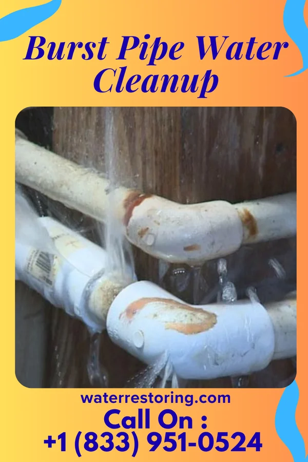 Burst Pipe Water Cleanup in Temple Terrace, FL