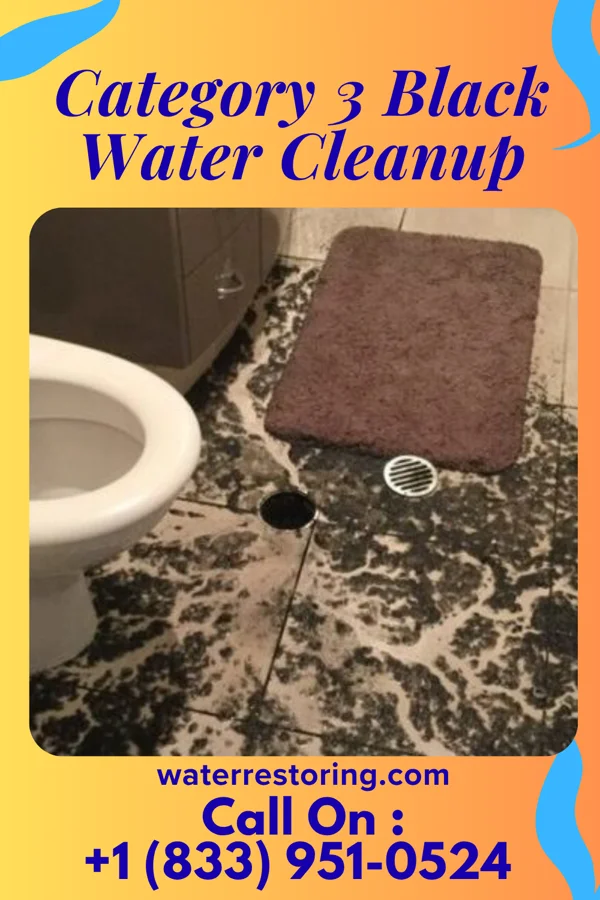 Category 3 Black Water Cleanup in Temple Terrace, FL