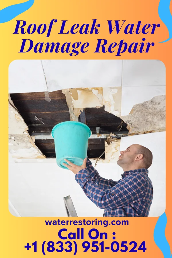 Roof Leak Water Damage Repair in Temple Terrace, FL